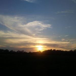 Meet your Posher, Kenya